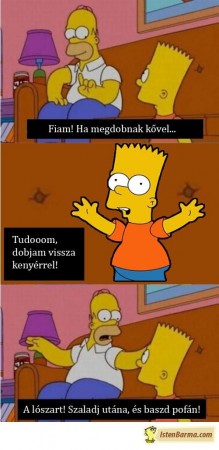 Bölcsesség!